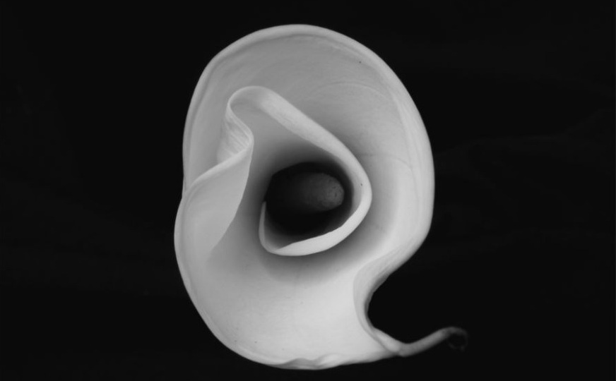 EXPOSICIÓN FOTOGRÁFICA “EFÍMERA”